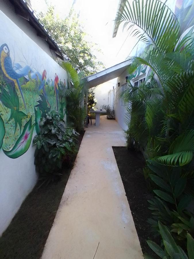 Beach Hotel Casa Nina لاس تاريناس المظهر الخارجي الصورة