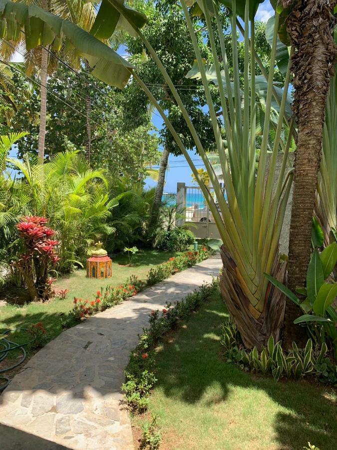 Beach Hotel Casa Nina لاس تاريناس المظهر الخارجي الصورة