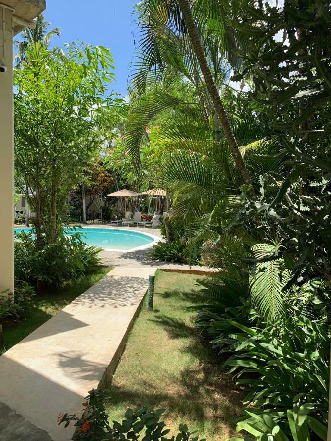 Beach Hotel Casa Nina لاس تاريناس المظهر الخارجي الصورة
