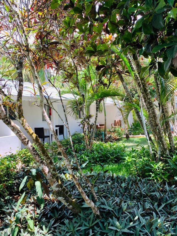 Beach Hotel Casa Nina لاس تاريناس المظهر الخارجي الصورة