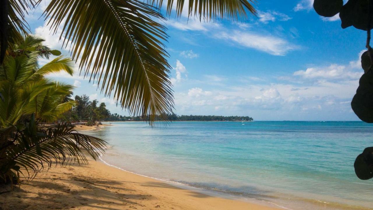 Beach Hotel Casa Nina لاس تاريناس المظهر الخارجي الصورة