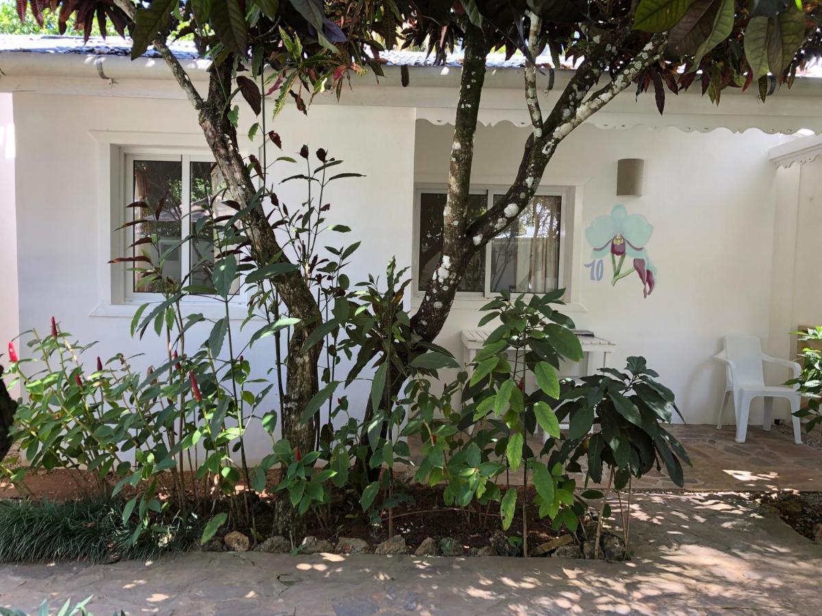 Beach Hotel Casa Nina لاس تاريناس المظهر الخارجي الصورة